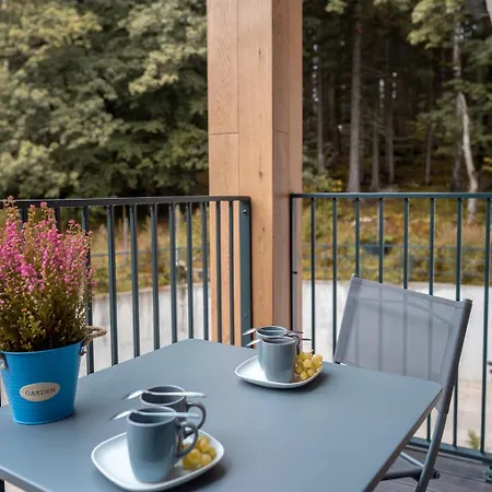 Ostoja Parku Kasprowicza- Z Sauna Daire *