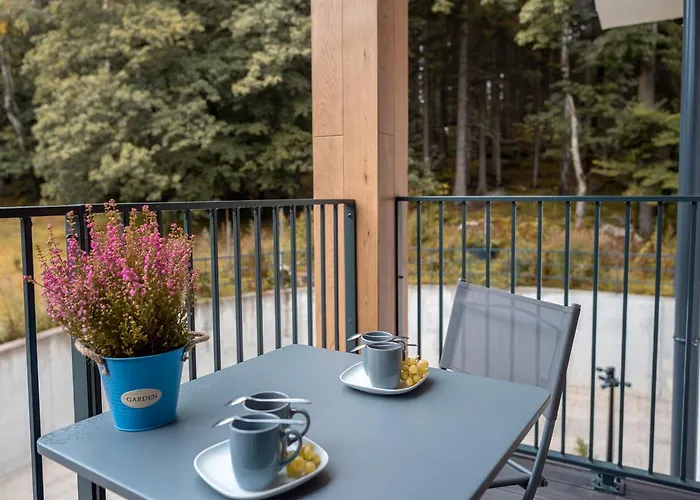 Ostoja Parku Kasprowicza- Z Sauna Апартаменты *